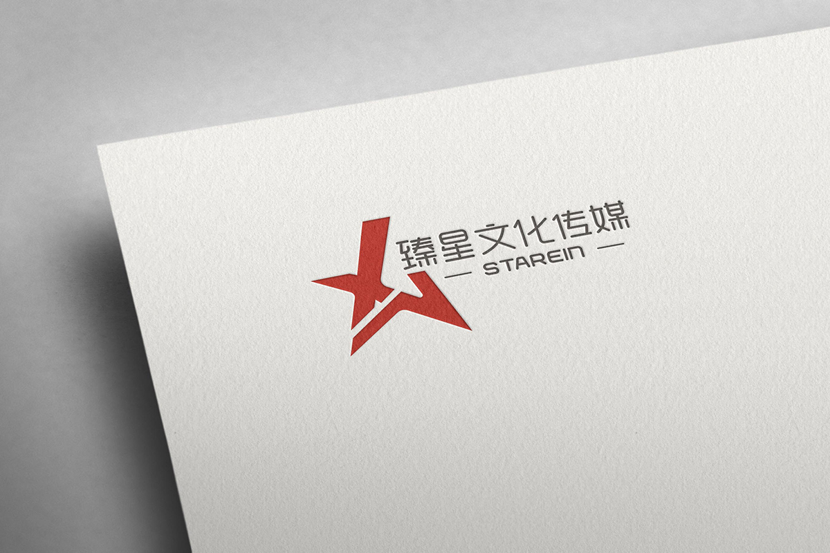 臻星傳媒LOGO設(shè)計